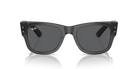 Ray-Ban Sunglasses