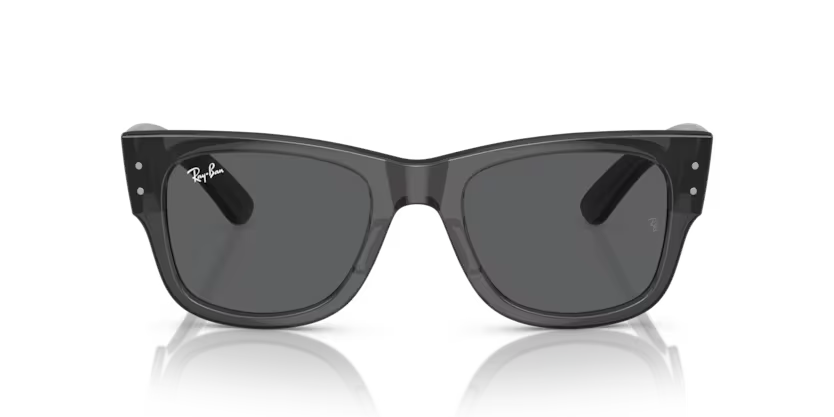 Ray-Ban Sunglasses