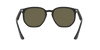 RAY-BAN RB4306 Sunglass