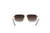 FRENCH CONNECTION FC7696 Sunglass