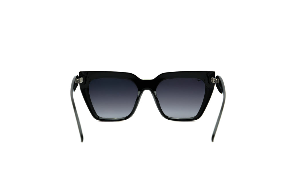 FRENCH CONNECTION FC7691 Sunglass