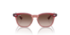Ray-Ban Sunglass