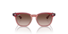 Ray-Ban Sunglass