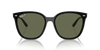 Ray-Ban Sunglasses
