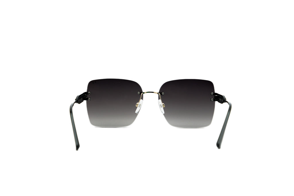 FRENCH CONNECTION FC7686 Sunglass