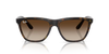 Ray-Ban Sunglass