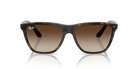 Ray-Ban Sunglass