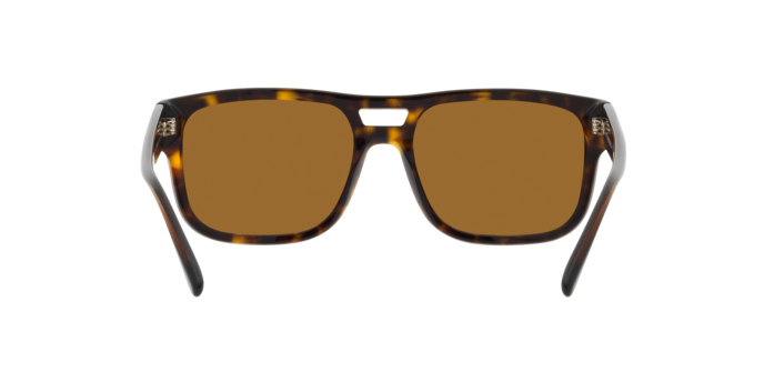 EMPORIO ARMANI EA4197 Sunglass