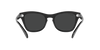RAY-BAN RB0707S Sunglass