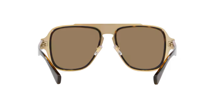 VERSACE VE2199 Sunglass