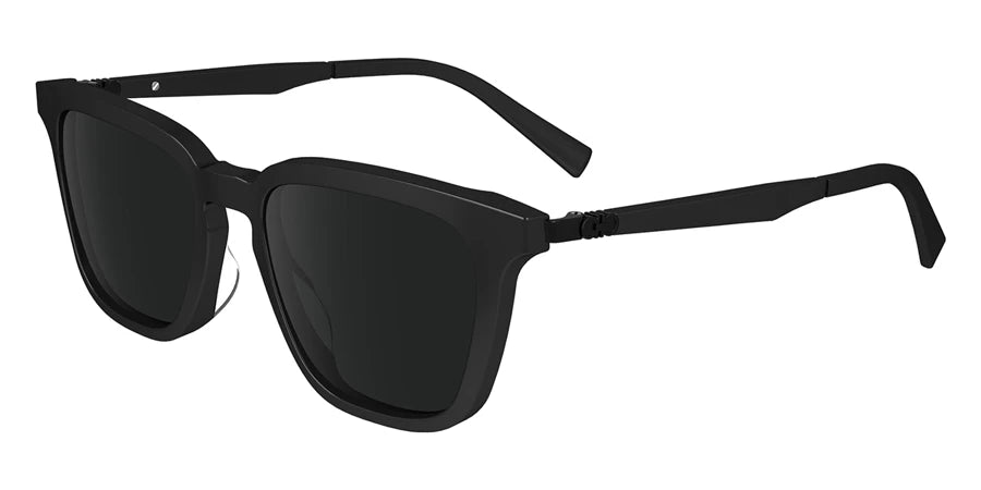 FERRAGAMO FERRAGAMO SF1100 Sunglass null sunglass for Unisex