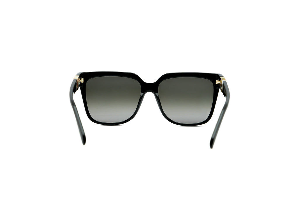 FERRAGAMO SF2109 Sunglass