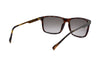 HUGO BOSS HG 0163/S Sunglasses