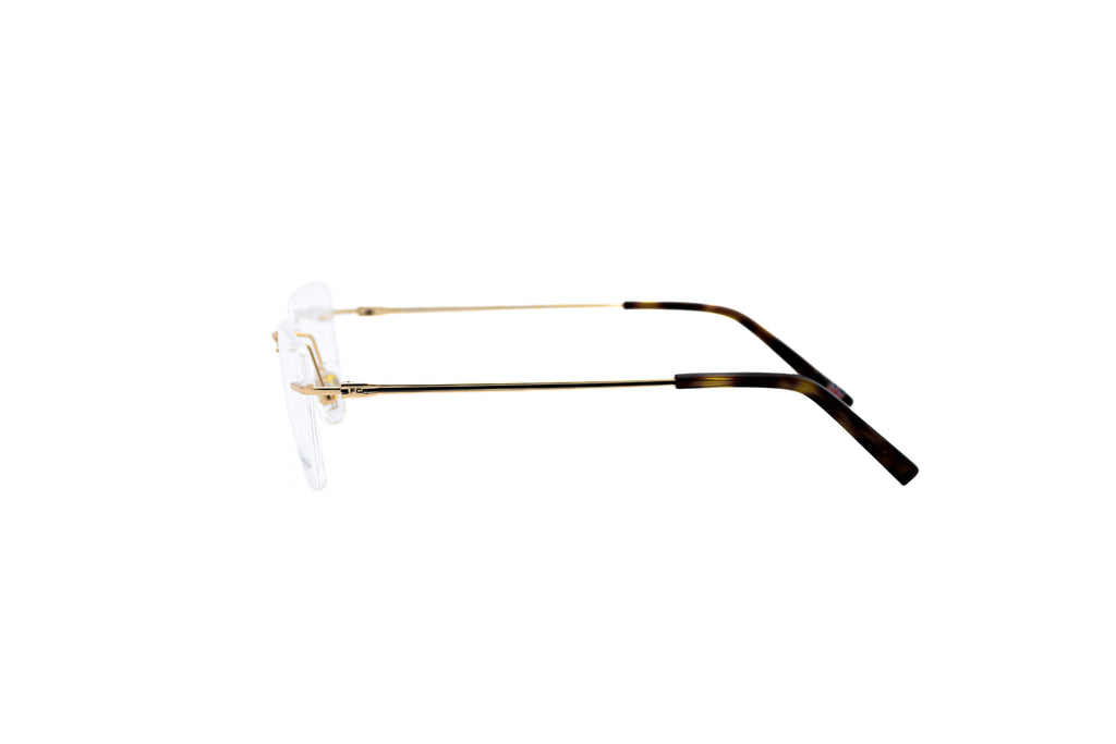 French Connection FCL5310 Optical Frame