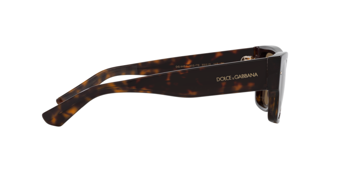 DOLCE & GABBANA DG4451 Sunglass