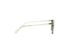 POLORIOD 4180/S Sunglass