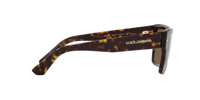 DOLCE & GABBANA DG4431 Sunglass