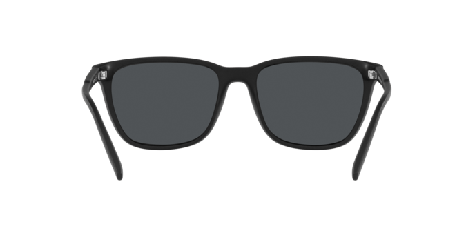 ARNETTE AN4291 Sunglass