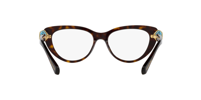 SWAROVSKI SK2005 Optical Frame