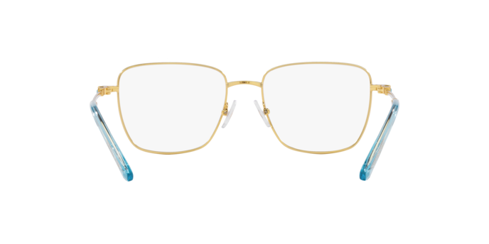 SWAROVSKI SK1003 Optical Frame
