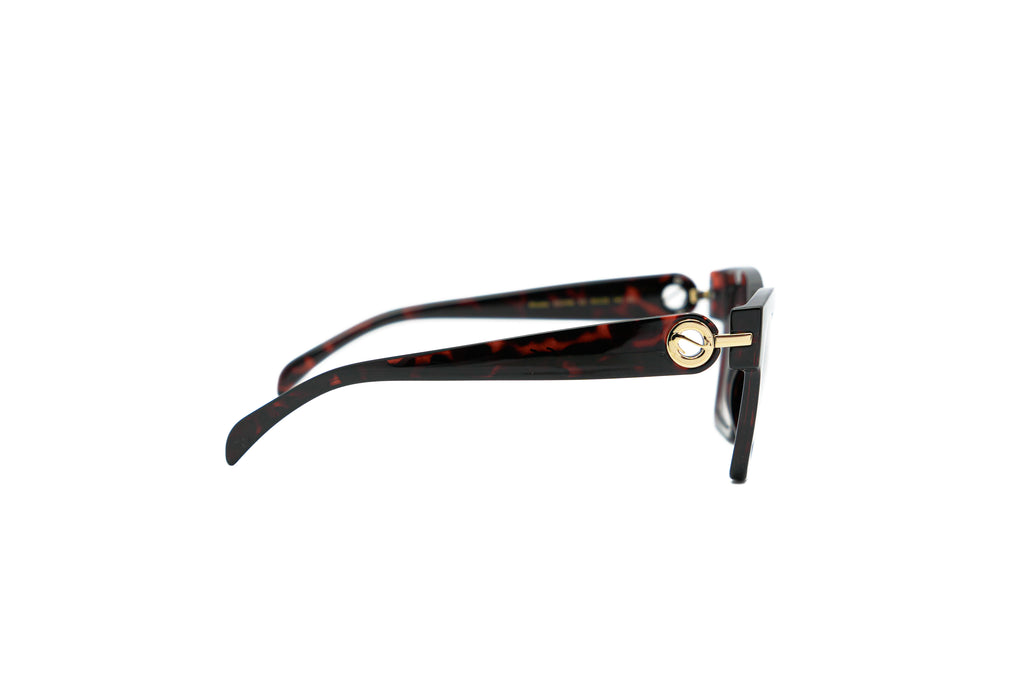 SCOTT SC3165 Sunglass
