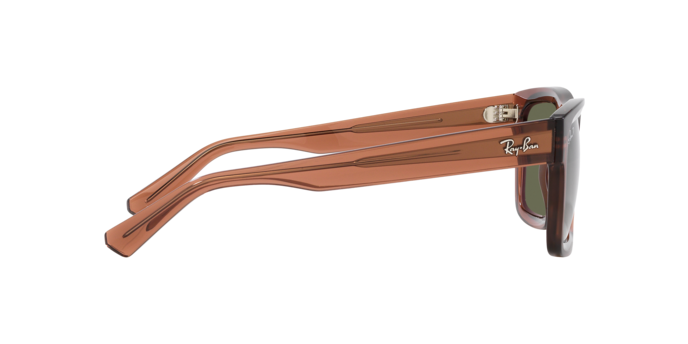 RAY-BAN RB4396 Sunglass