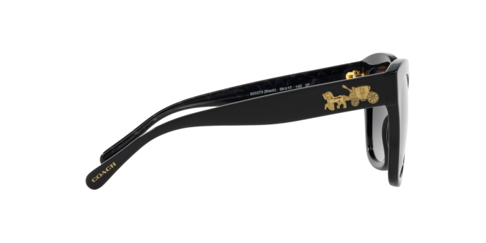 COACH HC8264 Sunglass