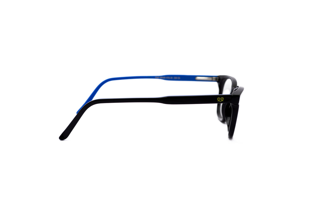 PITT & MITT PMF-9031E Optical Frame