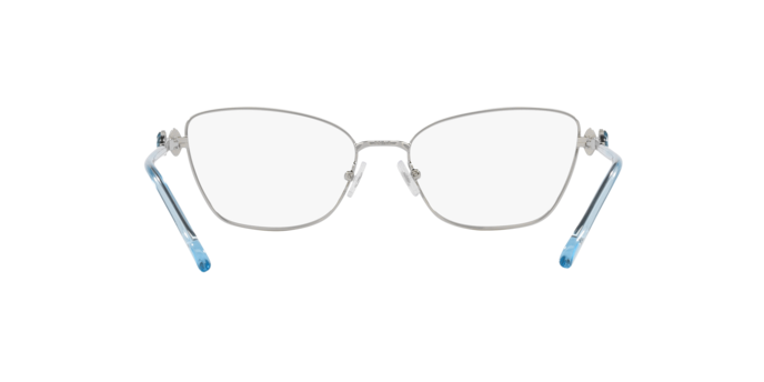 SWAROVSKI SK1006 Optical Frame