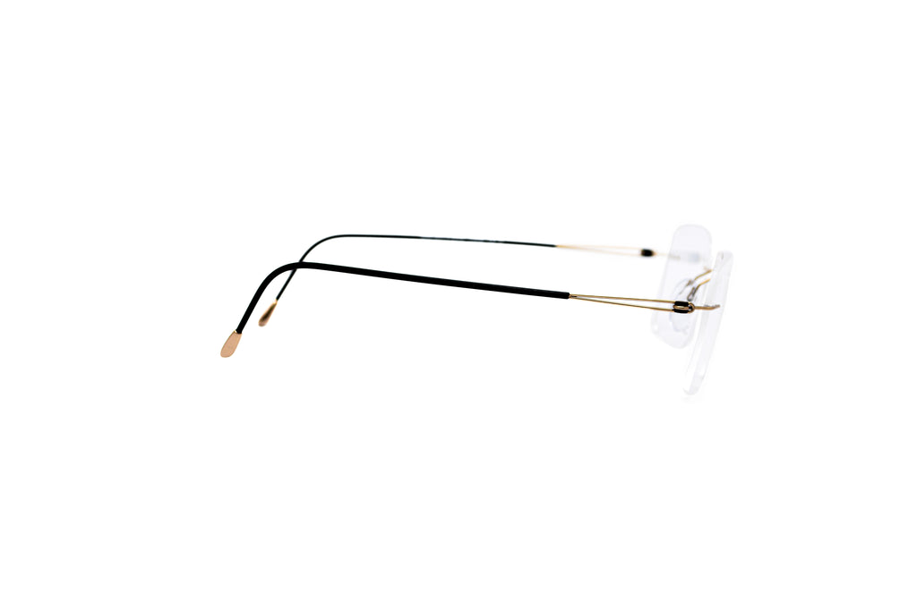 SILHOUETTE 5569/DN Optical Frame