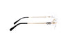FERRAGAMO SF2582LBI Optical Frame