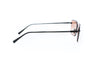 FERRAGAMO SF309 Sunglass