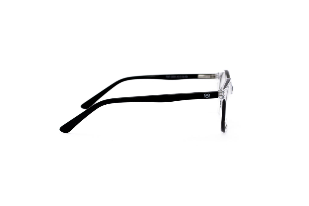 PITT & MITT PMF-300A Optical Frame