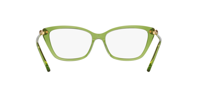 SWAROVSKI SK2011 Optical Frame