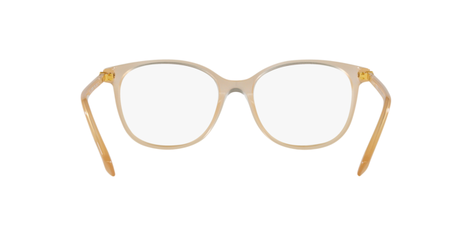 SWAROVSKI SK2002 Optical Frame