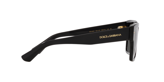 DOLCE & GABBANA DG4431 Sunglass