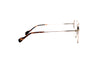 SCOTT SC5656 Optical Frame