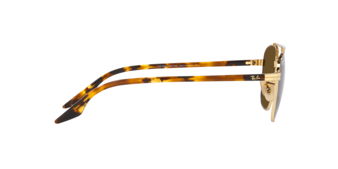 RAY-BAN RB3688 Sunglass