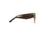 SCOTT SC3172 Sunglass