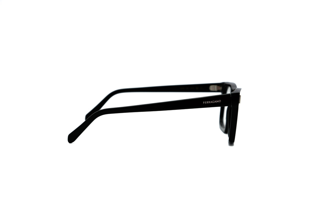 FERRAGAMO SF3029 Optical Frame