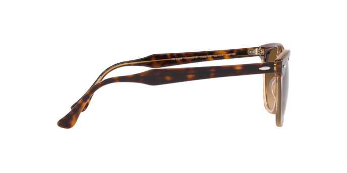 RAY-BAN RB2298 Sunglass