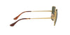 RAY-BAN RB1971 Sunglass