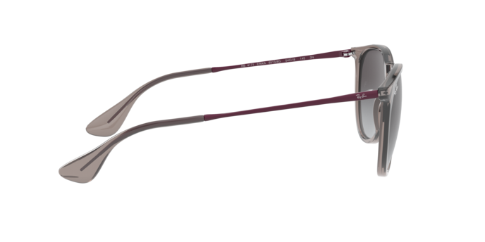 RAY-BAN RB4171 Sunglass