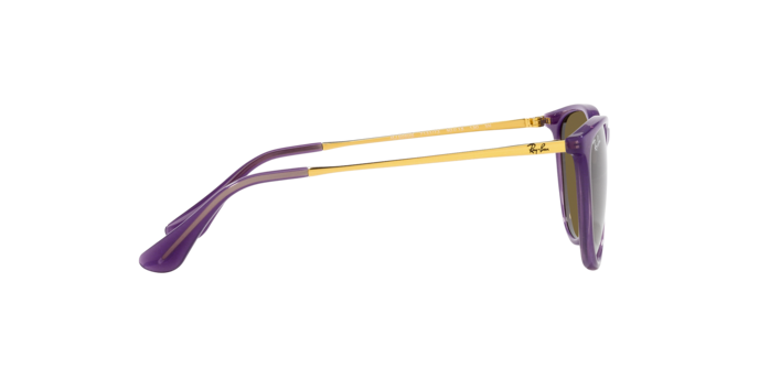 RAY-BAN JUNIOR RJ9060S Sunglass