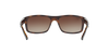 RAY-BAN RB4205I Sunglass
