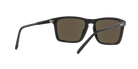 ARNETTE AN4283 Sunglass online in India – stylish designer eyewear