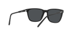 ARNETTE AN4291 Sunglass online in India – premium sunglasses for men and women